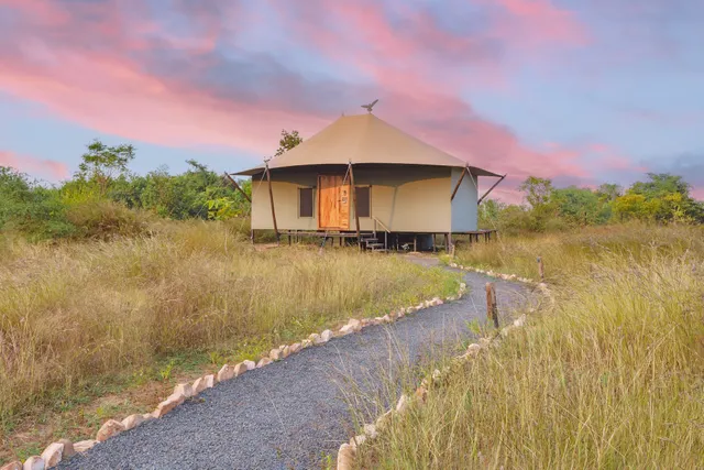 Trees N Tigers Tadoba National Park