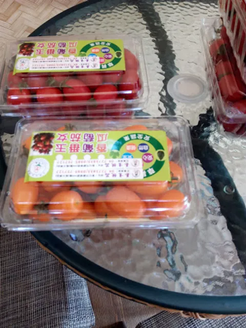 曦地養生禪飲Sidi