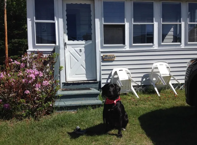 Johnson's Motel & Cottages