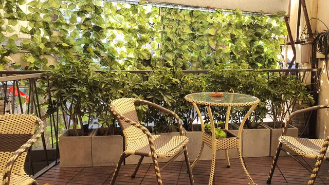 Bonita Boutique Hotel Q5