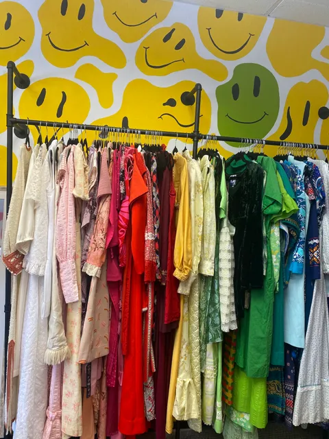 Wild Paisley Vintage