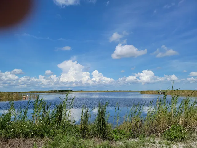 Loxahatchee Everglades