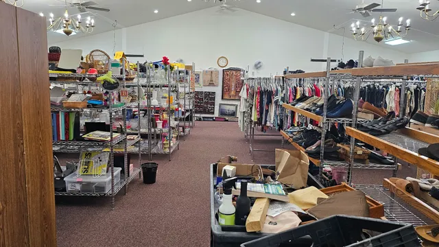 Life Solutions Treasure Store