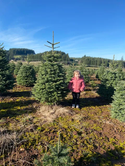 Hemphill Farms Christmas Tree cut & carry