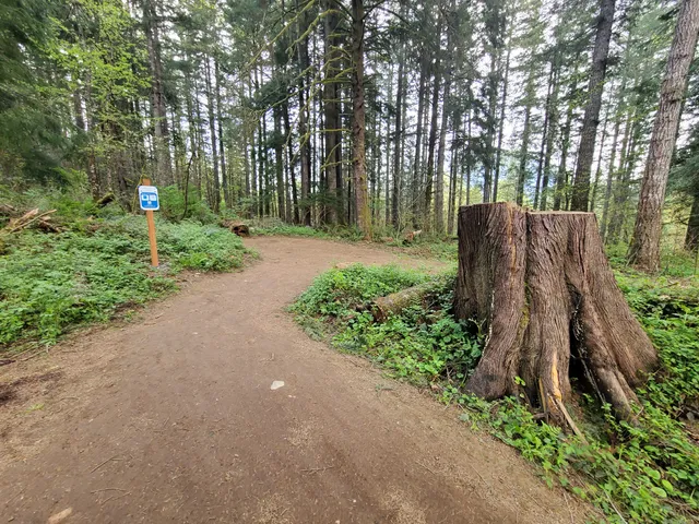 Tennant Trailhead Park