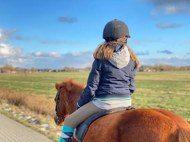 Riding and holiday farm Bontjes Ostfriesland
