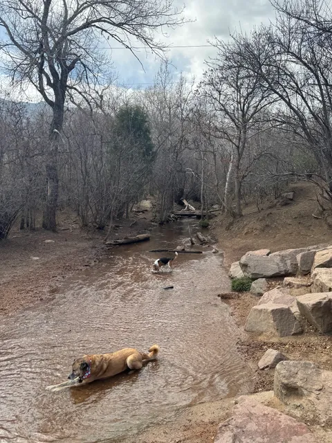 Bear Creek Dog Park