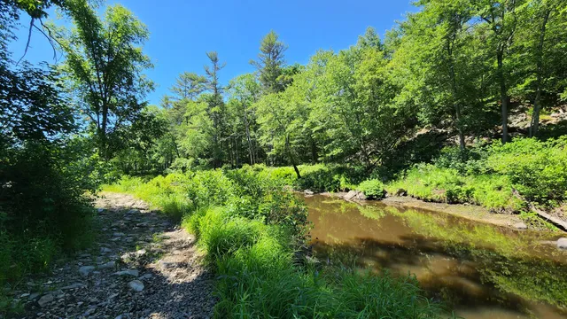 Templeton State Forest