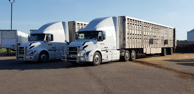 Central Livestock Association