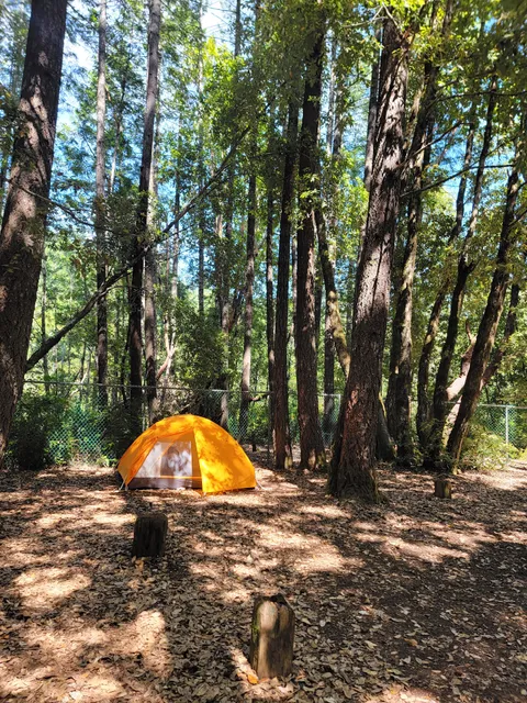 Rock Creek Campground