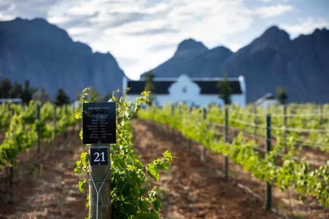 Brookdale Estate | Restaurant, Wine Tasting, The Manor House and The Lodge