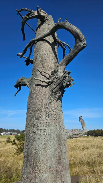 Lewis and Clark Carved Tree