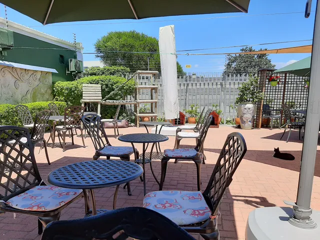 Cat Cafe South Africa