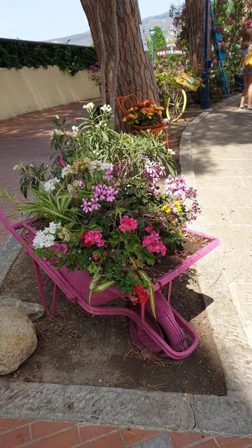 Appartamenti Solaris Bilo