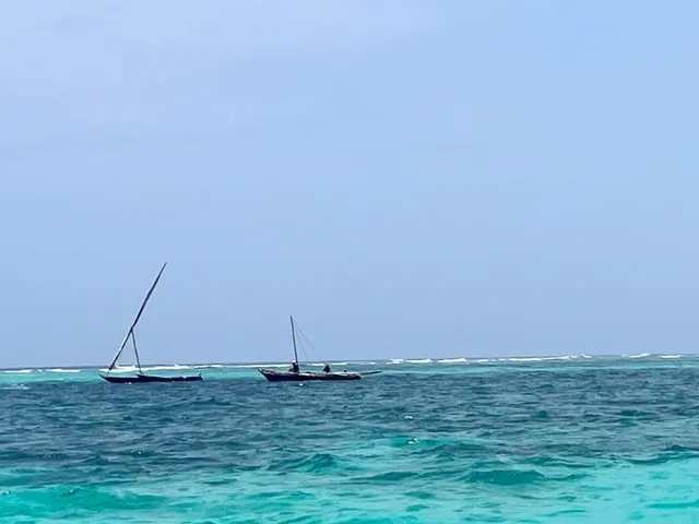 Robinson Island-Temporary sandbank