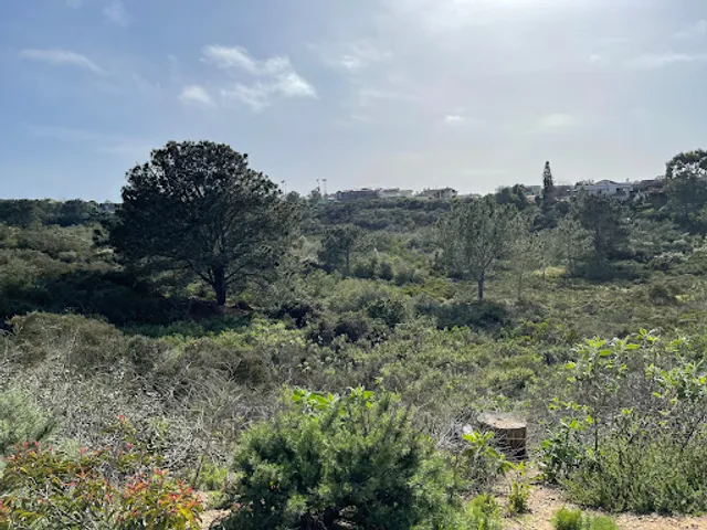 Crest Canyon Trailhead