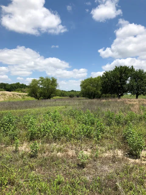 Terry Hershey Park on Hwy 6