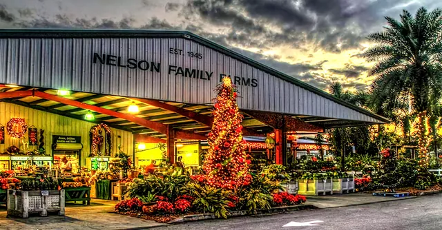 Nelson Family Farms