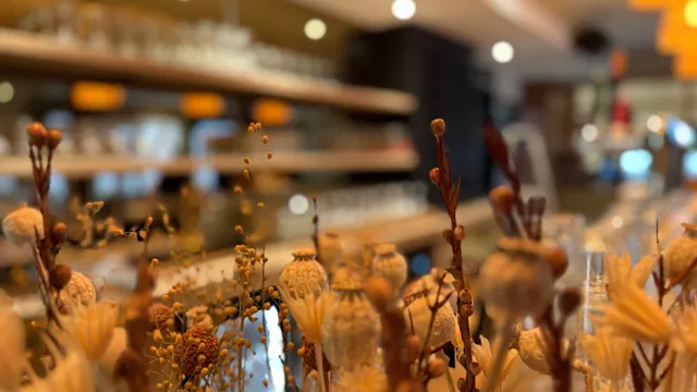 Grandcafé Restaurant Zen