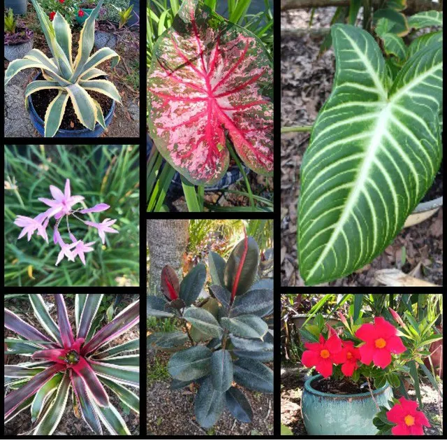 Orender Farm & Gardens LLC