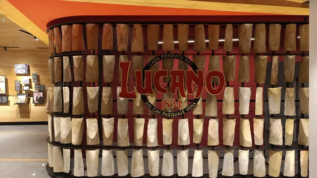 Lucano 1894