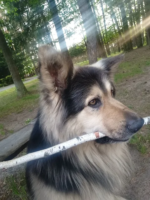 Gospodarstwo agroturystyczne "ELA"