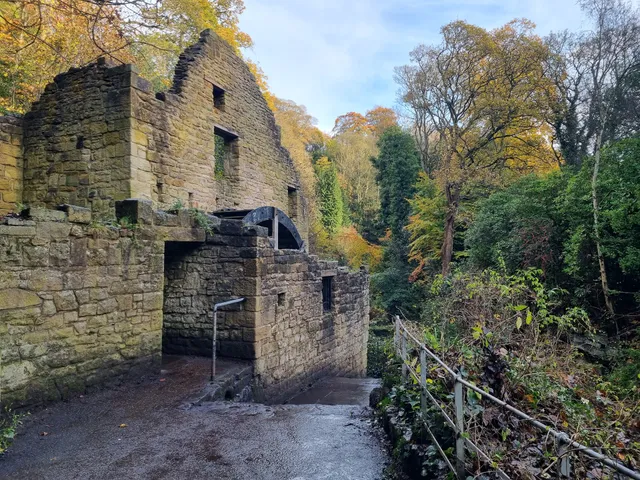 Jesmond Dene Mill