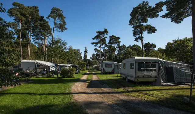 Sandbjerg Vig Camping