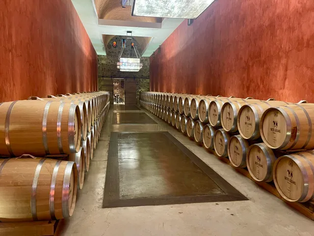 VIP Winery Vacations