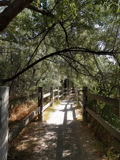 Chichester Wetland Park