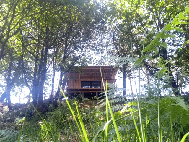 Les Cabanes de Brocas