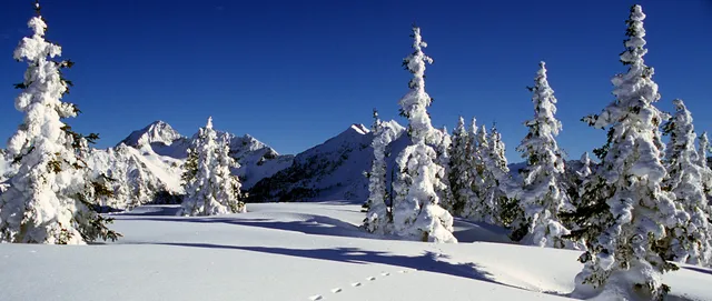 Ferienhaus Haberlhof - Direkt neben der Skipiste