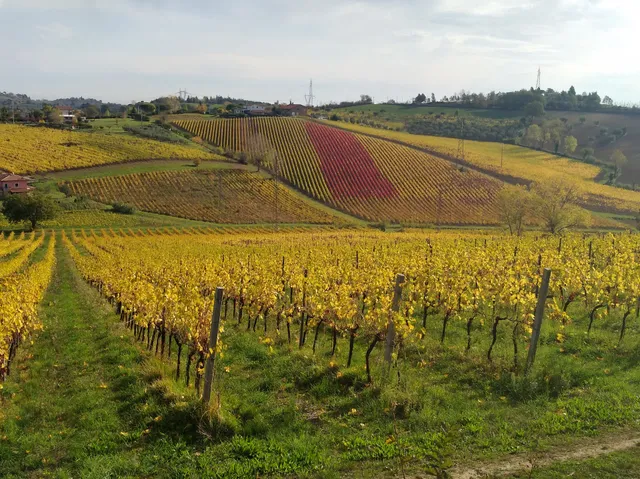 Cretaia Società Agricola