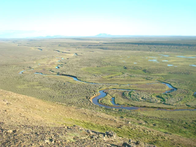 Áfangi - Upprekstrarfélag Auðkúluheiðar