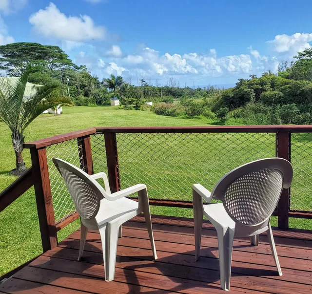 Puna Rainforest Retreat: Hot springs and steam vents