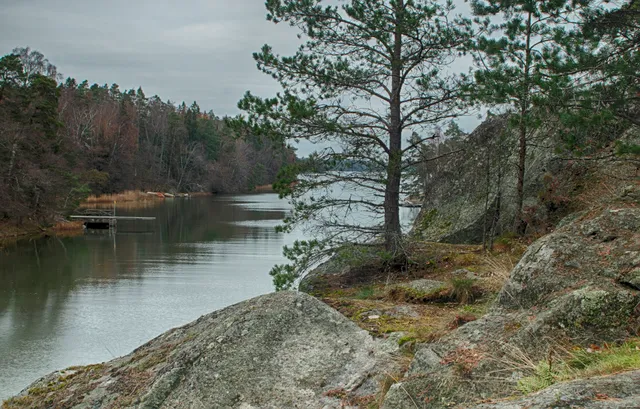 Itäniityn laakson luonnonsuojelualue