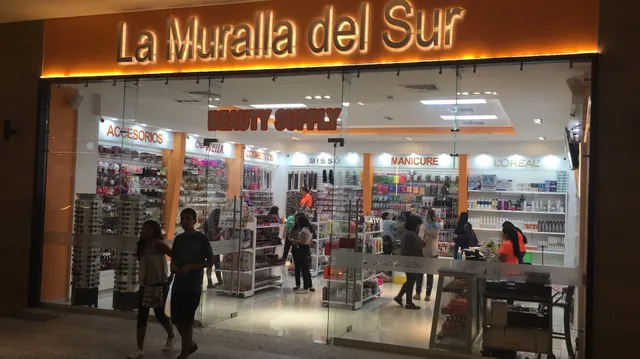 La muralla del sur