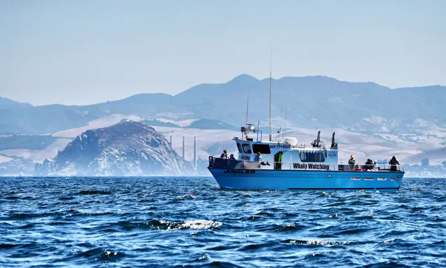 Lost Isle Adventures Harbor Tours & Whale Watching