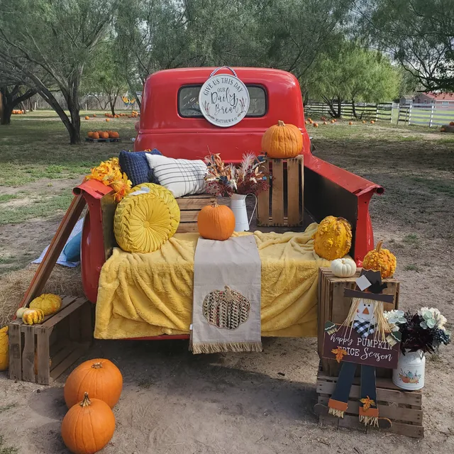 Rocky Dee's Pumpkin Patch