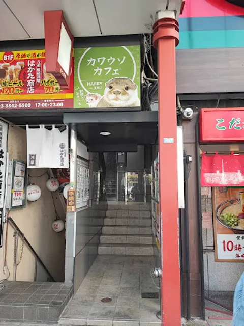 カワウソカフェ®︎HARRY浅草店