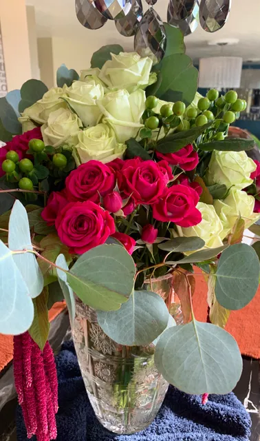 Aesthetics PRP in Utah