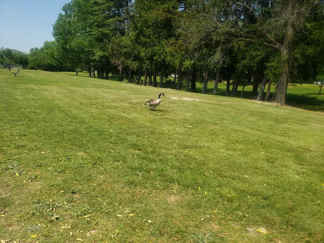 Jack's Friendship Garden