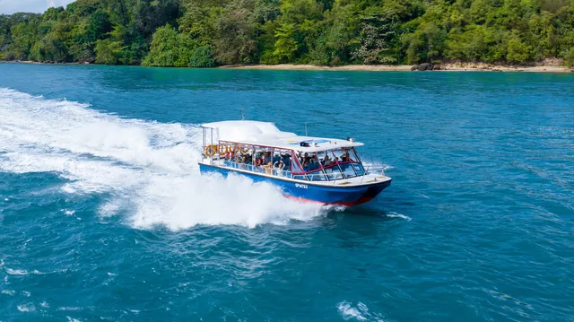 Albatross Speedboat Adventures - Singapore