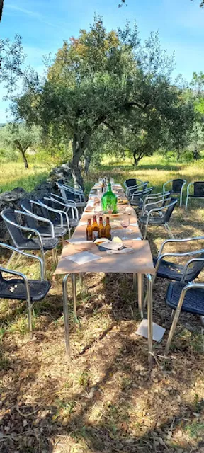 Casa da Velha Fonte Unip. Lda