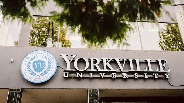 Yorkville University