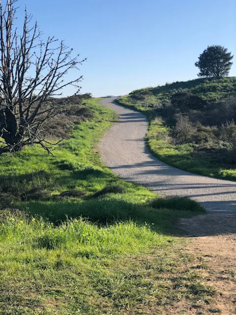 Saddle Loop Trail North Bench