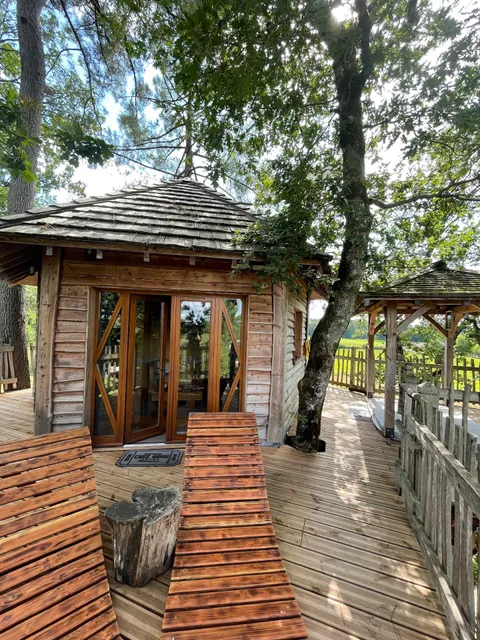 Perched Huts in the Trees