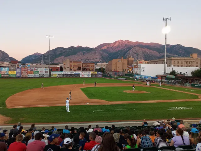 Ogden Raptors Pro Baseball