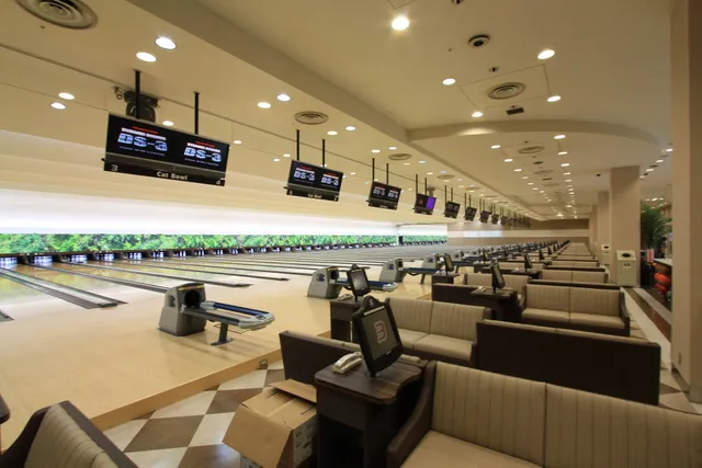 Corona Cat Bowl Ogaki