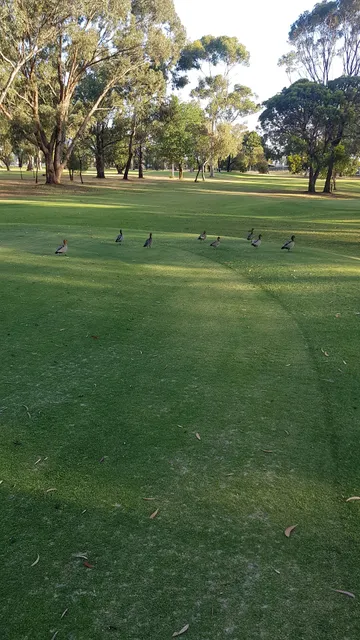 Valley View Par 3 Golf Course